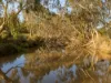 95 Dears Lane, Stonehaven, Vic 3218-Image