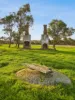 95 Dears Lane, Stonehaven, Vic 3218-Image