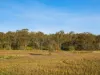 95 Dears Lane, Stonehaven, Vic 3218-Image