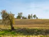 95 Dears Lane, Stonehaven, Vic 3218-Image