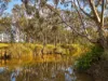 95 Dears Lane, Stonehaven, Vic 3218-Image