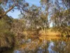 95 Dears Lane, Stonehaven, Vic 3218-Image