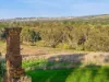 95 Dears Lane, Stonehaven, Vic 3218-Image