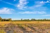 95 Eurunderee Lane, Mudgee, NSW 2850-Image