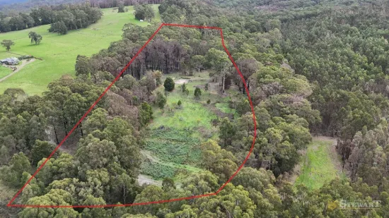 95 Wonga Road, Kawarren, Vic 3249