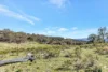 954 Pyramul Road, Mudgee, NSW 2850-Image