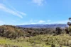 954 Pyramul Road, Mudgee, NSW 2850-Image