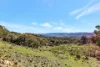 954 Pyramul Road, Mudgee, NSW 2850-Image