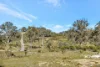 954 Pyramul Road, Mudgee, NSW 2850-Image