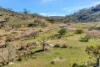954 Pyramul Road, Mudgee, NSW 2850-Image