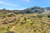 954 Pyramul Road, Mudgee, NSW 2850-Image