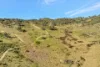 954 Pyramul Road, Mudgee, NSW 2850-Image