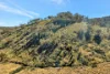 954 Pyramul Road, Mudgee, NSW 2850-Image