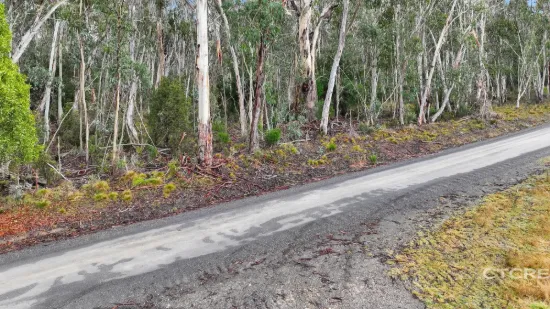 955 Bendoc-Orbost Road, Bendoc, Vic 3888