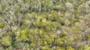 955 Bendoc-Orbost Road, Bendoc, Vic 3888-Image