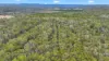 955 Bendoc-Orbost Road, Bendoc, Vic 3888-Image