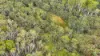955 Bendoc-Orbost Road, Bendoc, Vic 3888-Image