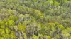955 Bendoc-Orbost Road, Bendoc, Vic 3888-Image