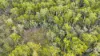 955 Bendoc-Orbost Road, Bendoc, Vic 3888-Image