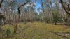 955 Bendoc-Orbost Road, Bendoc, Vic 3888-Image