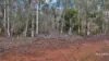 955 Bendoc-Orbost Road, Bendoc, Vic 3888-Image