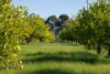 960 Bessell Road, Rosa Brook WA 6285-Image
