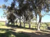967 Bunmulling Road, East Popanyinning, WA 6309-Image