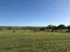 967 Bunmulling Road, East Popanyinning, WA 6309-Image