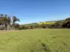 967 Bunmulling Road, East Popanyinning, WA 6309-Image