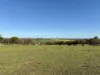 967 Bunmulling Road, East Popanyinning, WA 6309-Image