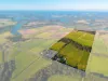 97 Middle Road, Palmers Island, NSW 2463