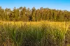 97 Middle Road, Palmers Island, NSW 2463-Image