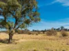 98 Jerula Road, Oberon, NSW 2787-Image