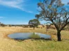 98 Jerula Road, Oberon, NSW 2787-Image