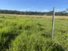 98, Maryborough Biggenden Road, Lakeside, Qld 4621-Image