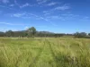 98, Maryborough Biggenden Road, Lakeside, Qld 4621-Image
