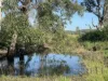98, Maryborough Biggenden Road, Lakeside, Qld 4621-Image