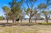 98 Rocky Waterhole Road, Mudgee, NSW 2850-Image
