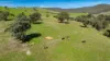 98 Wortmanns Lane, Granya, Vic 3701-Image