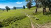98 Wortmanns Lane, Granya, Vic 3701-Image