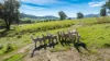 98 Wortmanns Lane, Granya, Vic 3701-Image