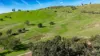 98 Wortmanns Lane, Granya, Vic 3701-Image