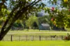 98 Wortmanns Lane, Granya, Vic 3701-Image