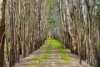 989 Mulwala-, Barooga NSW 3644-Image
