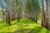 989 Mulwala-, Barooga NSW 3644-Image