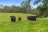 989 Mulwala-, Barooga NSW 3644-Image