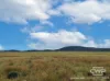 989 South Valley Road, Rocky Creek, NSW 2371