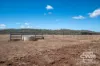 989 South Valley Road, Rocky Creek, NSW 2371-Image