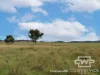 989 South Valley Road, Rocky Creek, NSW 2371-Image