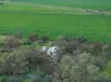 995 Balaklava Road, Bowmans, SA 5550-Image